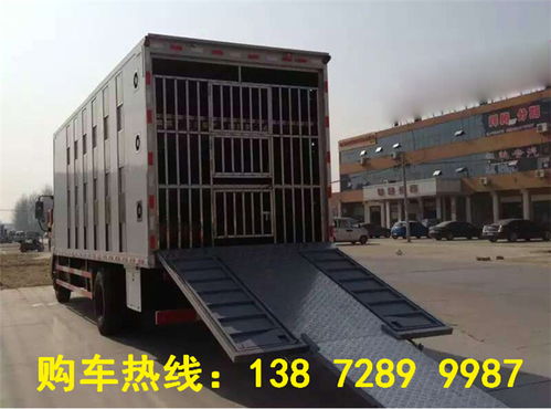 【好用的6.8米的生猪专用运输车去哪里买】-