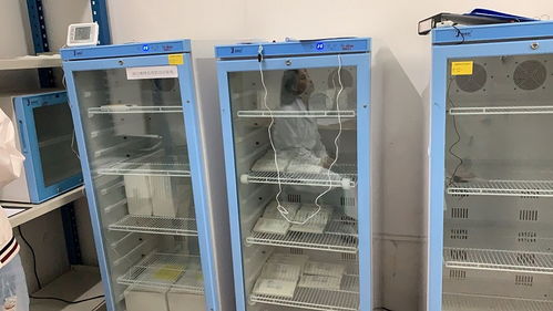 洛阳市25度阴凉冰箱现货